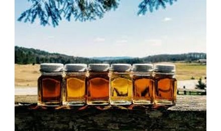 Learn How Syrup is Made at a Vermont Maple Farm